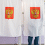 Трёхдневные досрочные выборы главы Новгородской области стартовали - Газета Новгород