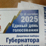 Явка на ДЭГ в Новгородской области соответствует среднероссийскому уровню в 51,01%. - Новгородские Ведомости
