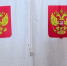 Большинство мест в муниципальных думах Новгородской области получила партия «Единая Россия» - Новгородское областное телевидение