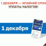 Успейте уплатить имущественные налоги до 1 декабря! - МФЦ