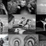Серия фоторабот «Лето в Поозерье» взяла серебро на Международном конкурсе фотографий. прошедшем в Будапеште - Новгородские Ведомости