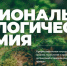 Волонтёры Великого Новгорода стали претендентами на национальную экологическую премию - Новгородское областное телевидение