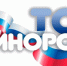 "ТОС-ЕДИНОРОСС": ИТОГИ - Единая Россия