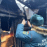 Причиной пожара в Великом Новгороде могла стать неисправная электропроводка - МЧС Новгородской области