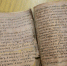 В Великий Новгород привезли старообрядческую берестяную книгу - Газета Новгород