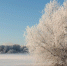 © Фото из архива интернет-портала «Новгород.ру» - Novgorod.Ru