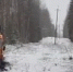 Аварийные бригады вернули электроэнергию новгородцам - Газета Новгород