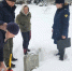 Глава Крестецкого округа: всем жителям в период восстановления электроснабжения продолжаем оказывать помощь - Новгородское областное телевидение