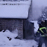 За сутки в Новгородской области потушили пять пожаров - 53news.Ru