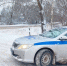 У автоинспекторов Новгородского округа появился четвероногий напарник - Газета Новгород