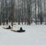 В Новгородской области за пять лет благоустроили более 900 территорий в рамках программы ФКГС - Новгородское областное телевидение