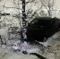 В Великом Новгороде в результате скоростных манёвров на мосту авто оказалось в кювете - Газета Новгород