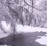 Уйдут ли морозы уже завтра из Новгородской области? - 53news.Ru