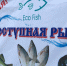 В Великом Новгороде вновь состоится акция «Доступная рыба» - 53news.Ru