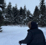 Новгородская область готовится к сезону лесовосстановления - ИА Великий Новгород.ру