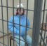 Новгородская полиция задержала пособницу аферистов, передавшую им 2,6 млн рублей - 53news.Ru