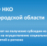 5 СО НКО Новгородской области претендуют на получение субсидии из областного бюджета на осуществление социально значимых мероприятий в регионе - Комитет по внутренней политике