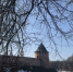 Крупный маркетплейс запускает витрину для новгородских производителей в рамках проекта «Сделано в России» - ИА Великий Новгород.ру