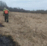 Новгородским пожарным приходится тратить ресурсы на борьбу с палом травы - Газета Новгород