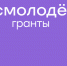 В экспертный совет Росмолодёжь.Гранты на 2026 год вошли девять новгородцев - 53news.Ru