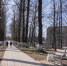 © Центр развития городской среды Новгородской области - Novgorod.Ru