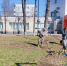 Медики встречают весну с заботой о людях - Правительство Новгородской области