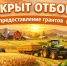 В Новгородской области стартовал приём заявок на гранты для аграриев - Новгородское областное телевидение