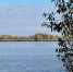 Волонтёры Новгородской области присоединились к акции по очистке берегов «Вода России» - ИА Великий Новгород.ру
