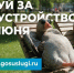 Голосование за комфортную городскую среду: выбирайте территории для благоустройства - МФЦ