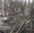 МЧС: 23 апреля в Новгородской области ожидается усиление ветра - 53news.Ru